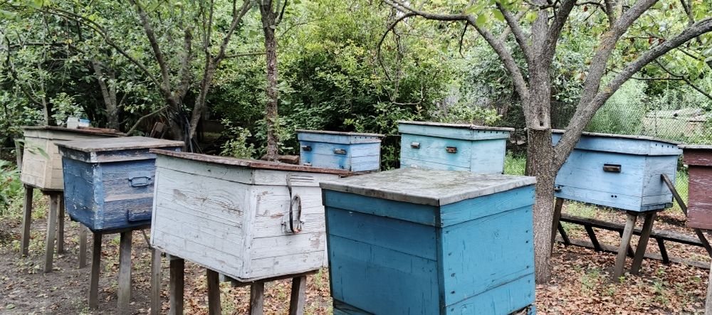 Продам вулики різного розміру
