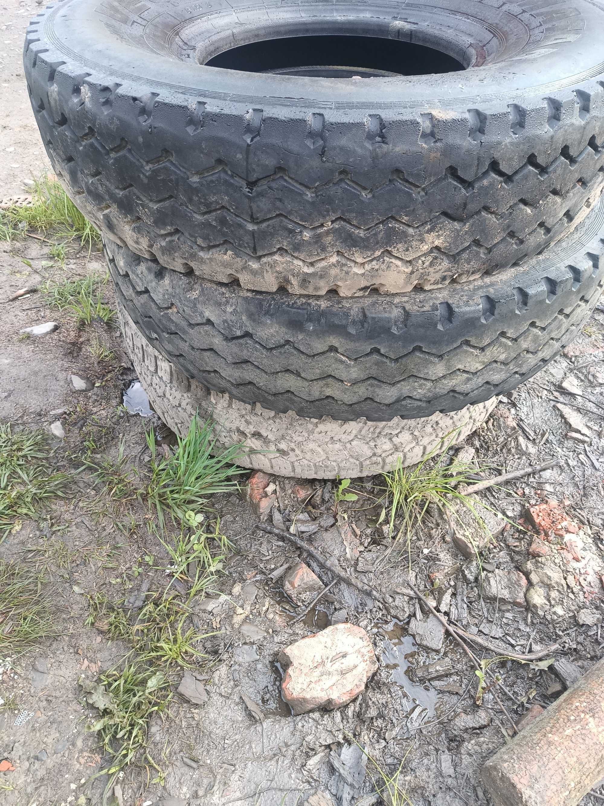 Продам шини МАЗ, КрАЗ, КамАЗ R20
