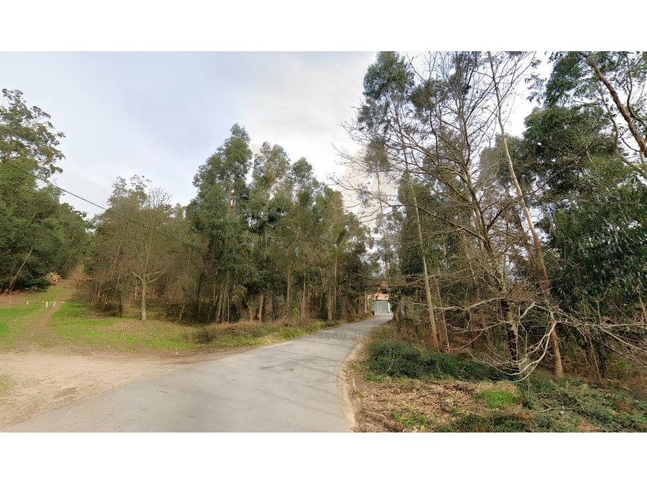 Terreno 2.290m² Urbanizavél - Fornelos - Ponte de Lima