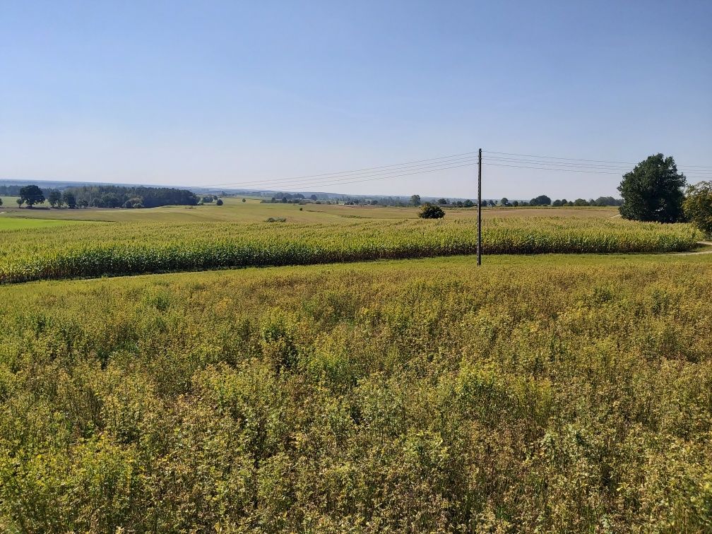 Działka siedliskowa 6060 m2