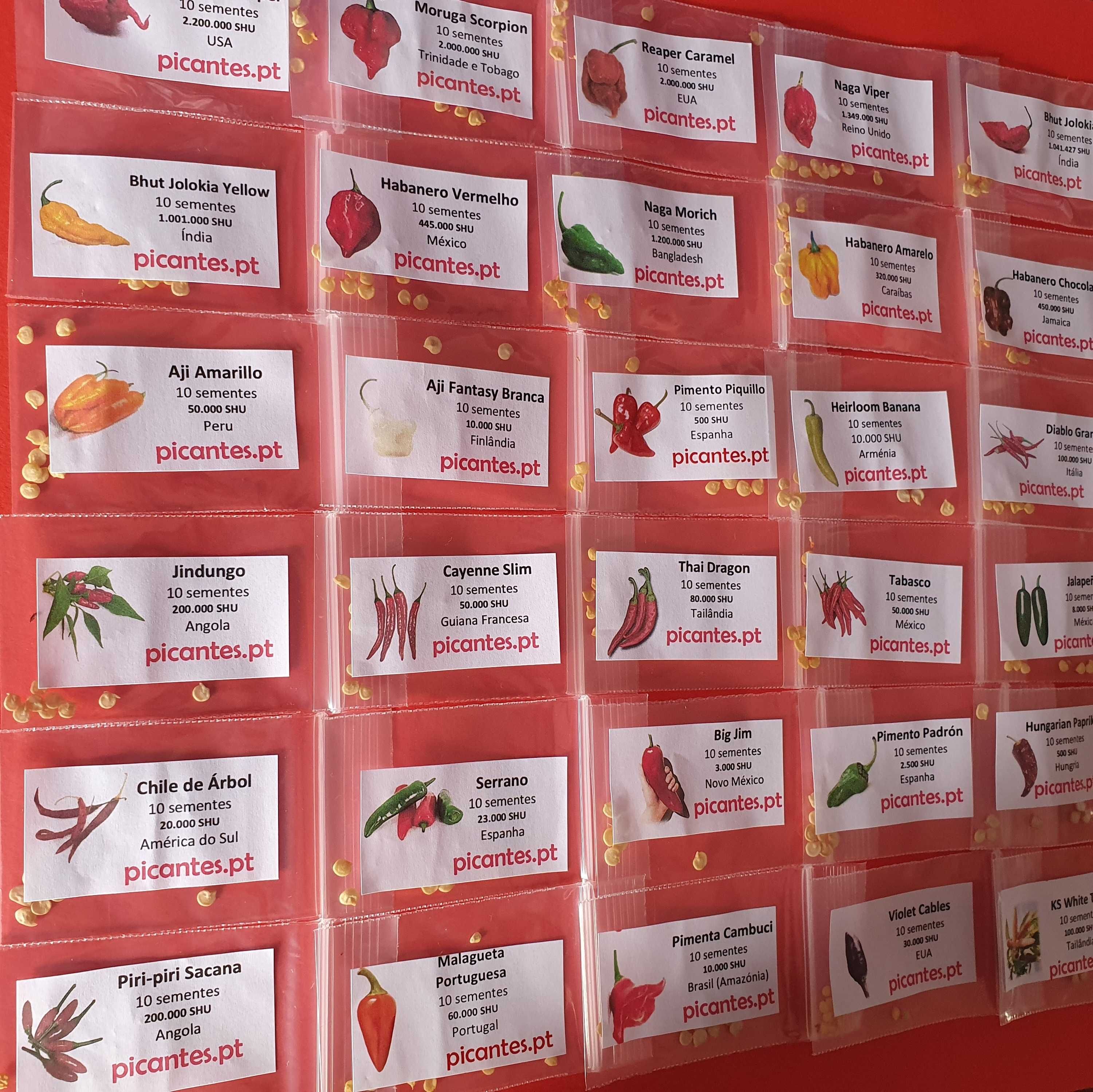 40 Variedades Pimenta Malagueta Sementes escolha as que quiser