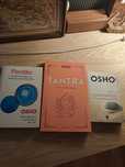Osho Tantra perdão consciência livros