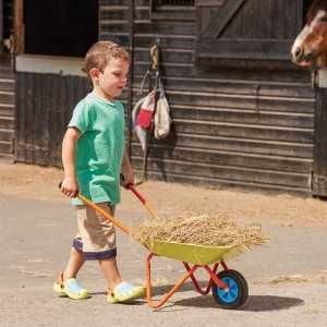 Carro de Mão Kids