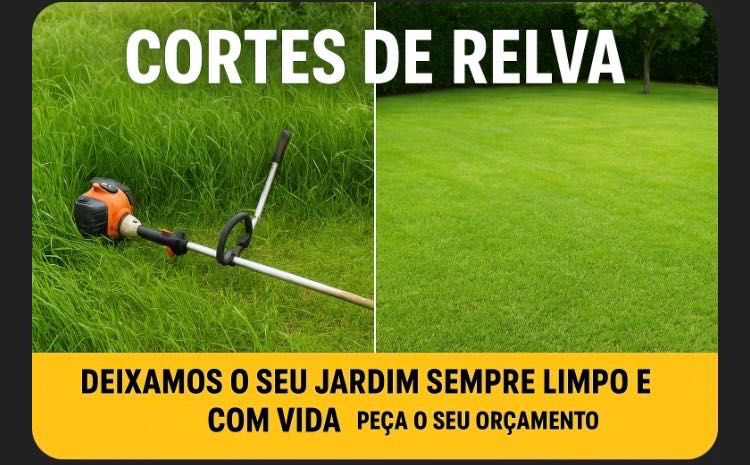 Deixamos o seu jardim limpo e com vida
