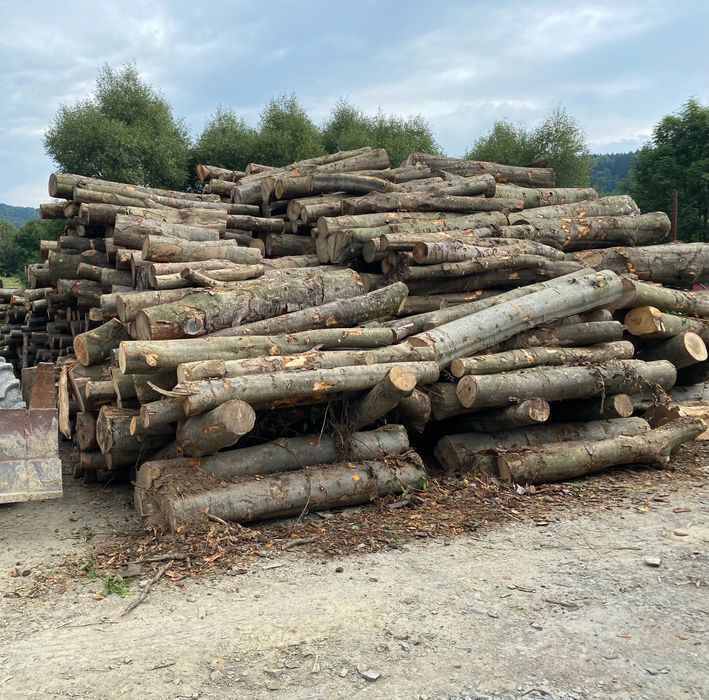 Drewno opałowe kominkowe buk grab