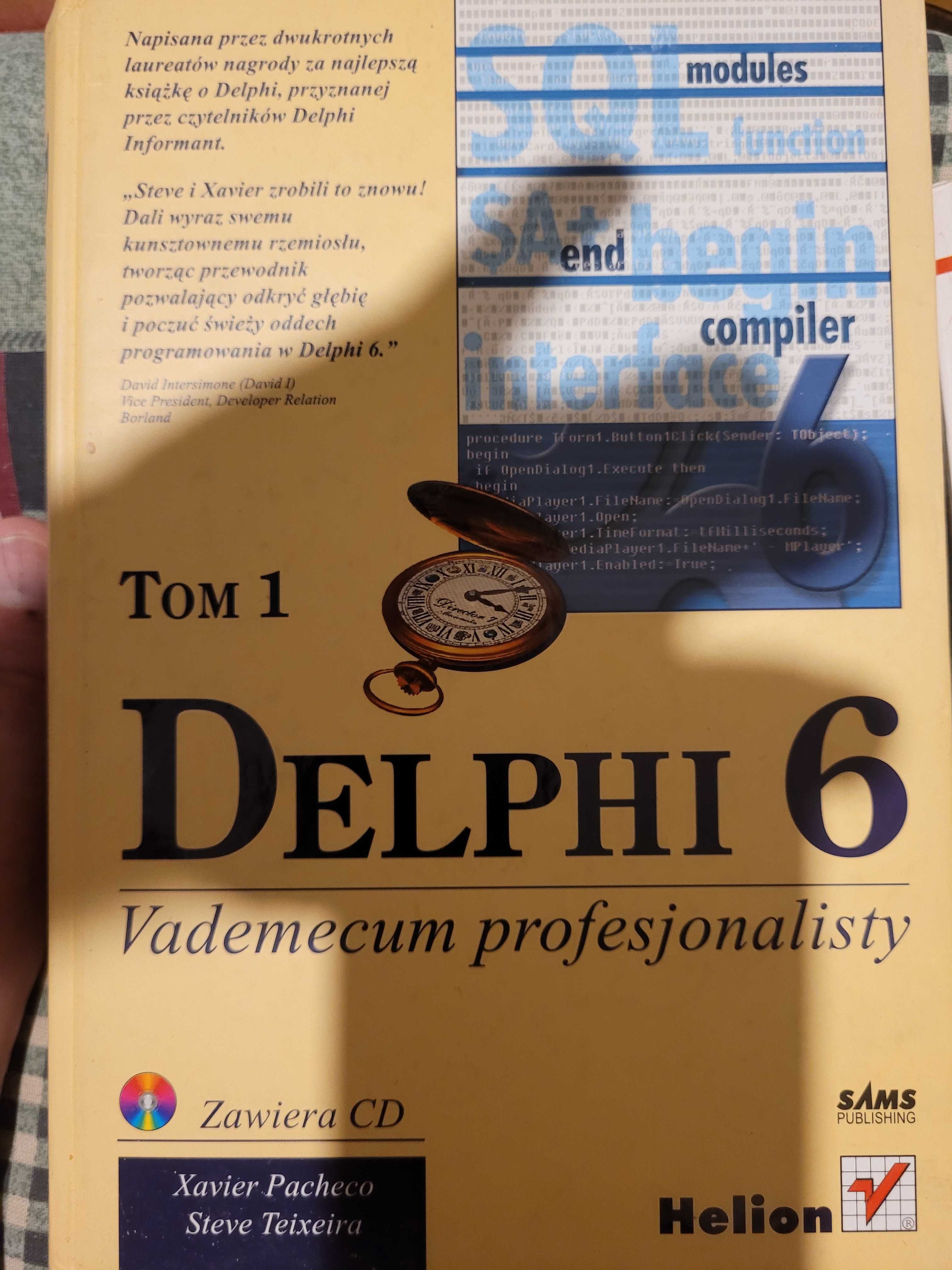 Delphi 6 Vademecum profesjonalisty