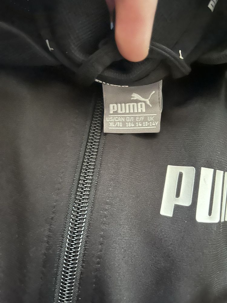 Олімпійка puma. Стан 10/10 оригінал