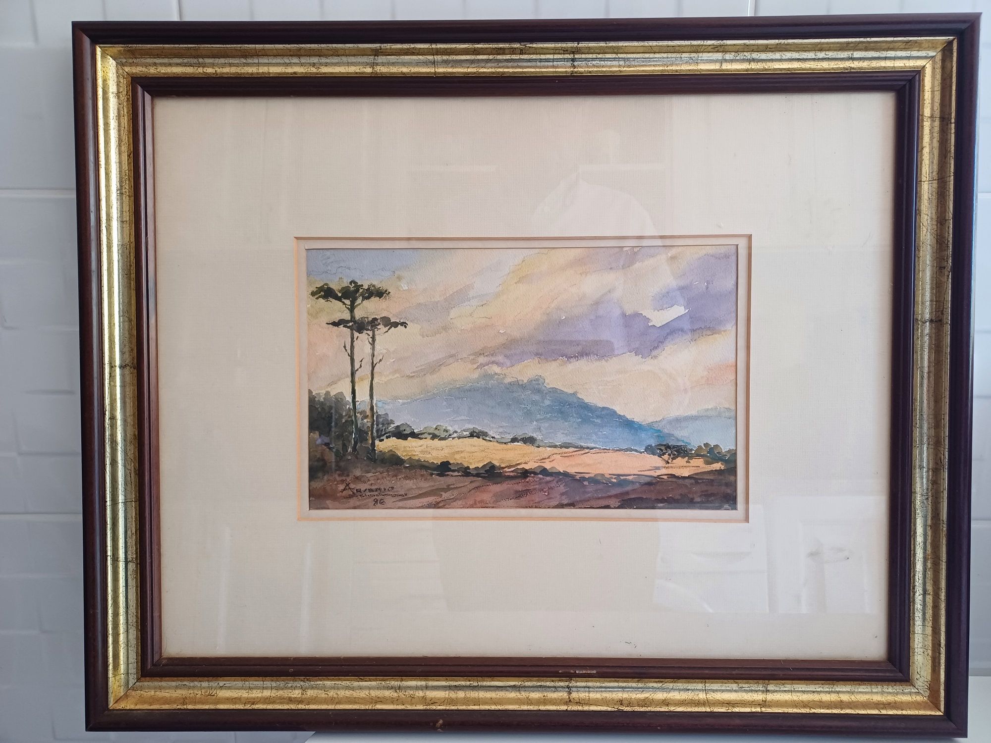 Aguarela pintor Arsenio da Ressurreição