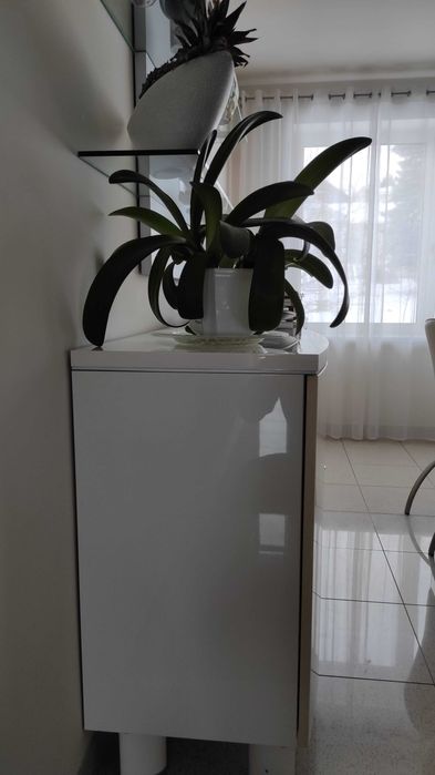 Komoda i półki zestaw do jadalni lub salonu