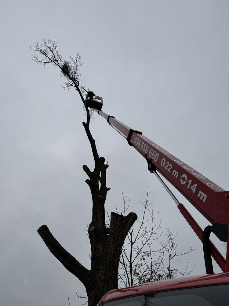 Mlot wyburzeniowy Hilti TE3000avr TE 1000