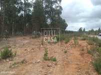 Terreno em Ortiga (Mação)
