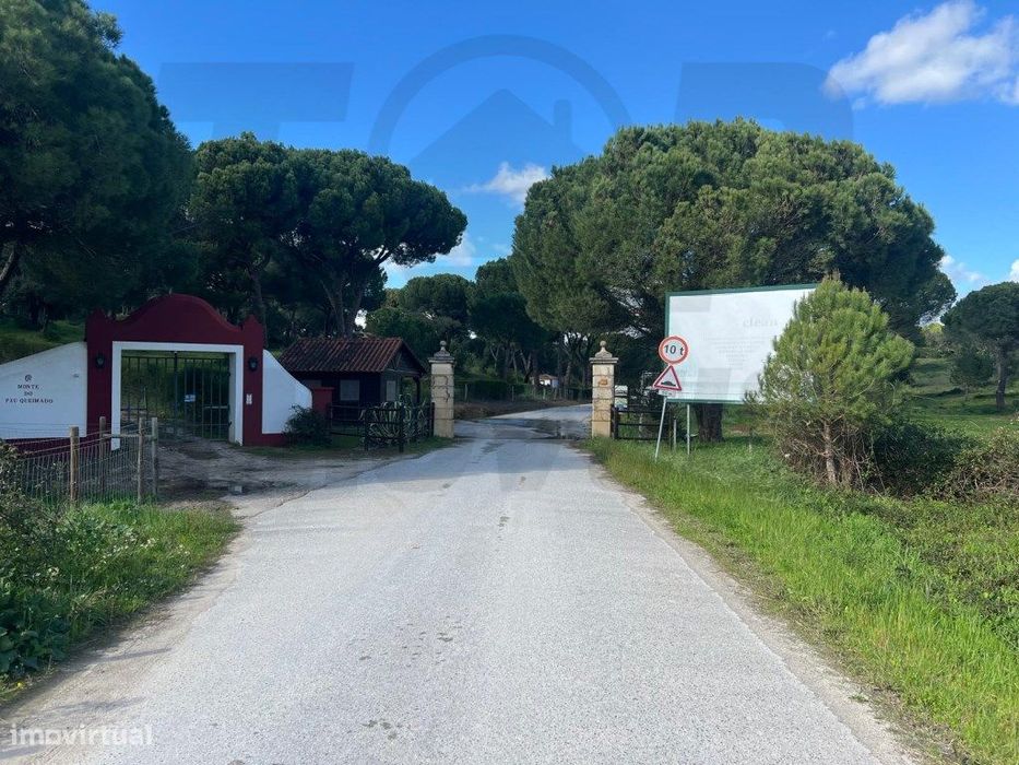 Terreno - Mata do Duque I - 300.000€