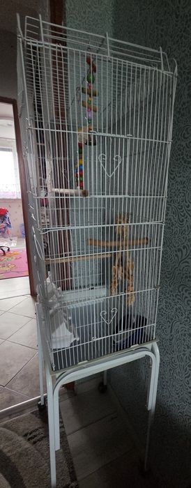 Klatka dla papug duża