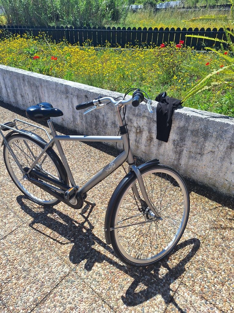 Bicicletas holandesas