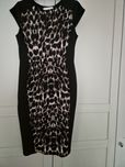 Sukienka Dorothy Perkins rozmiar 40 panterka