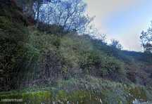 Terreno  para venda