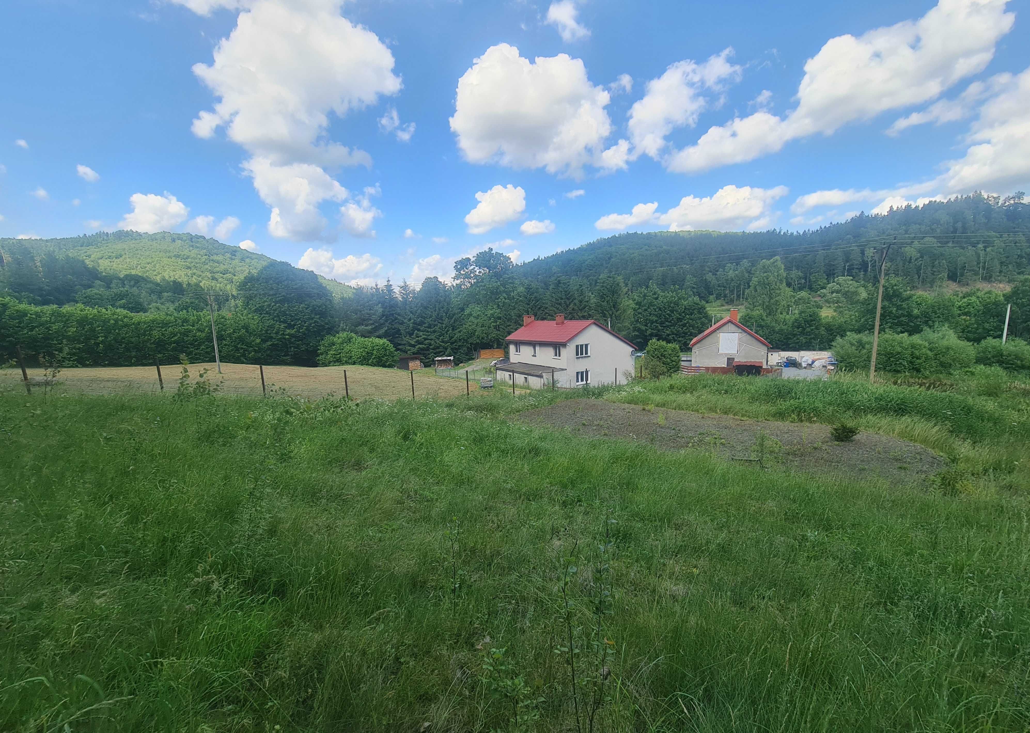 Przestronny dom w otulinie lasów