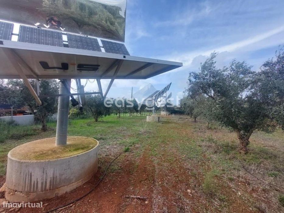 Terreno Rústico com 13.750m2, com Apoio Agrícola registado e Olival