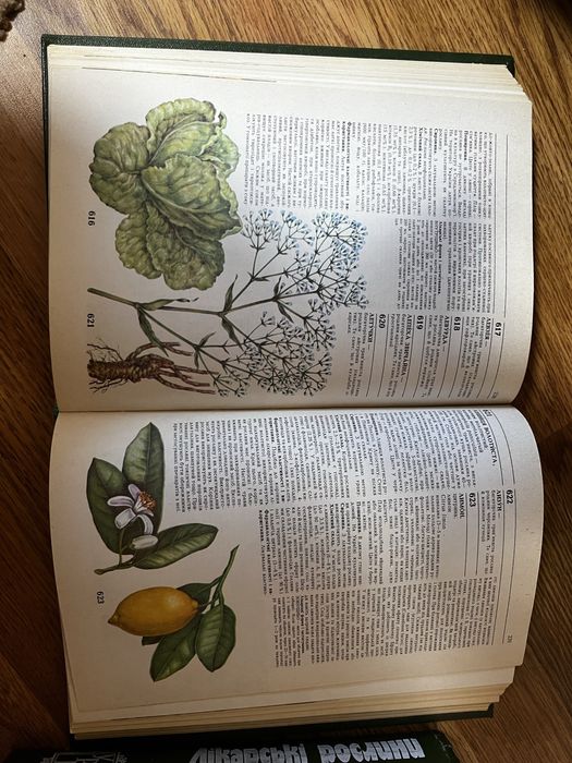 Книга Лікарські рослини 1990