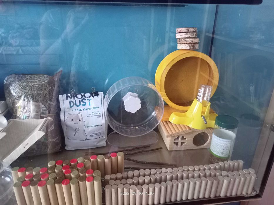 Akwarium z wyposażaniem dla chomika