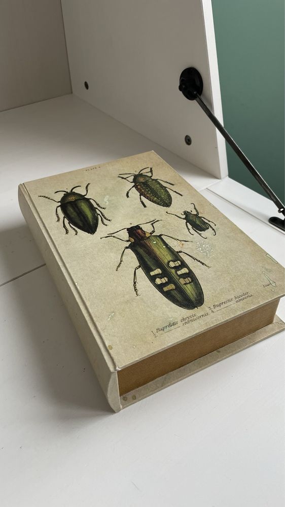 ZARA HOME pudełko ozdobne z owadami