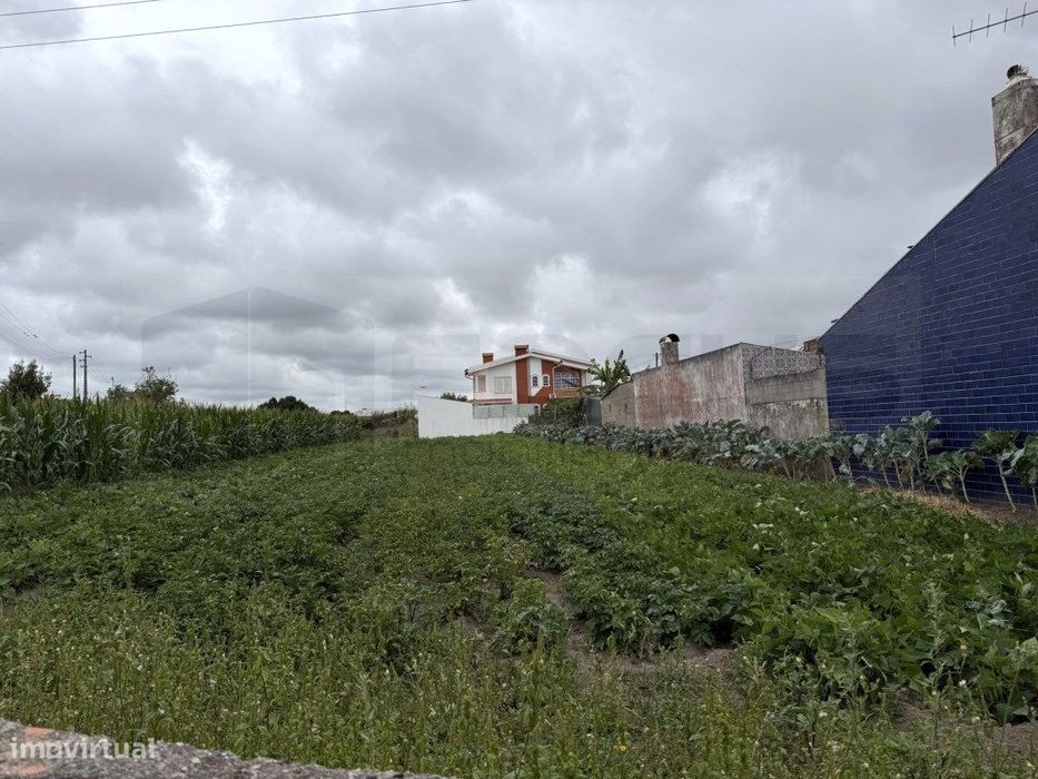 Terreno com 20m de frente para construção - São Bernardo