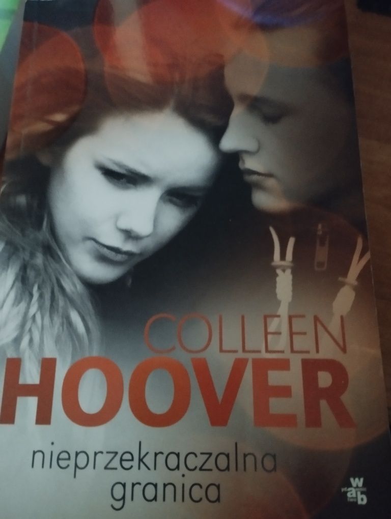 Colleen Hoover seria Slammed