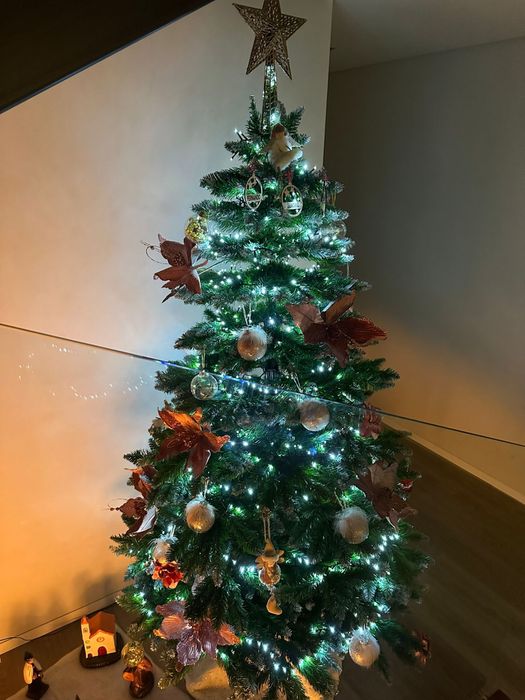 Árvore de Natal