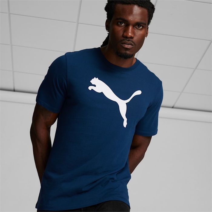 Оригинал мужская футболка PUMA L