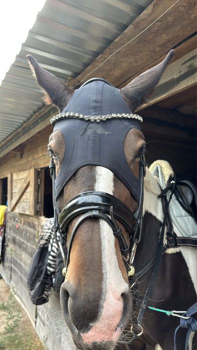 Maska uspokajająca FENWICK M CZARNA