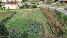Terreno Misto na N306 em Arcos, Vila do Conde