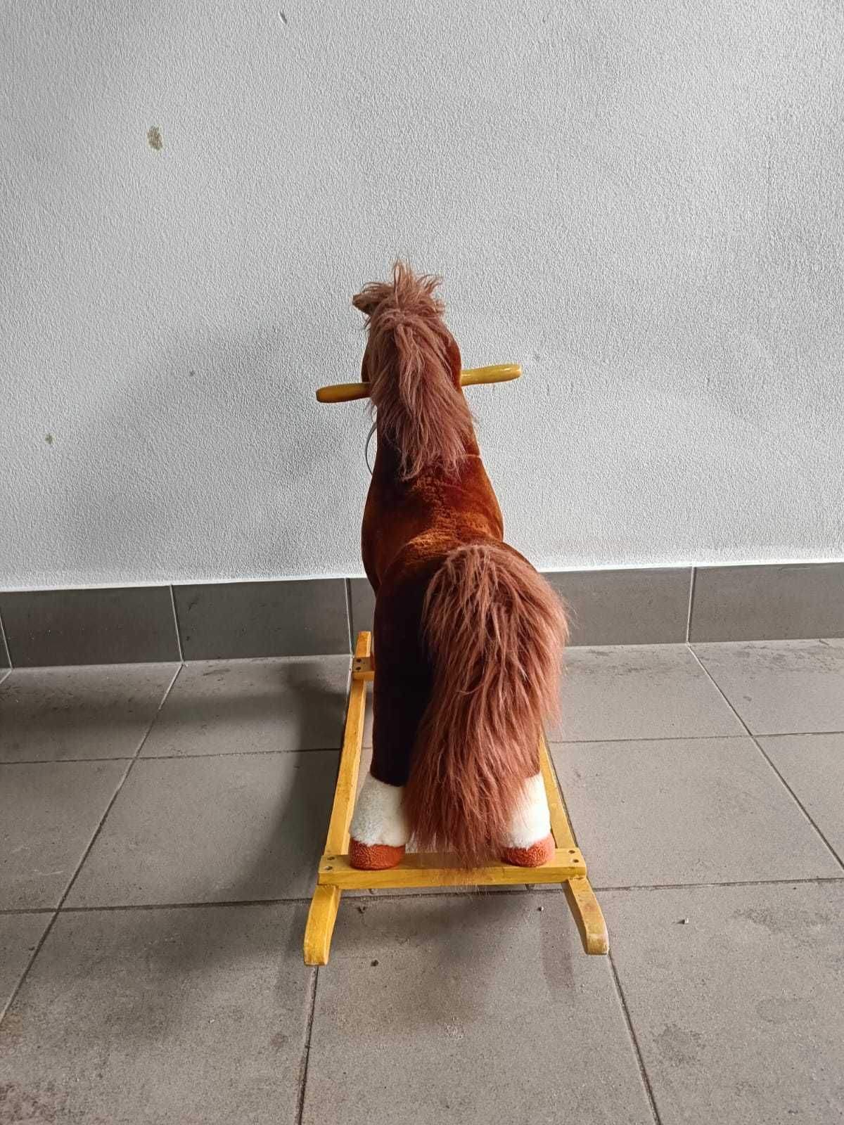 Koń na biegunach