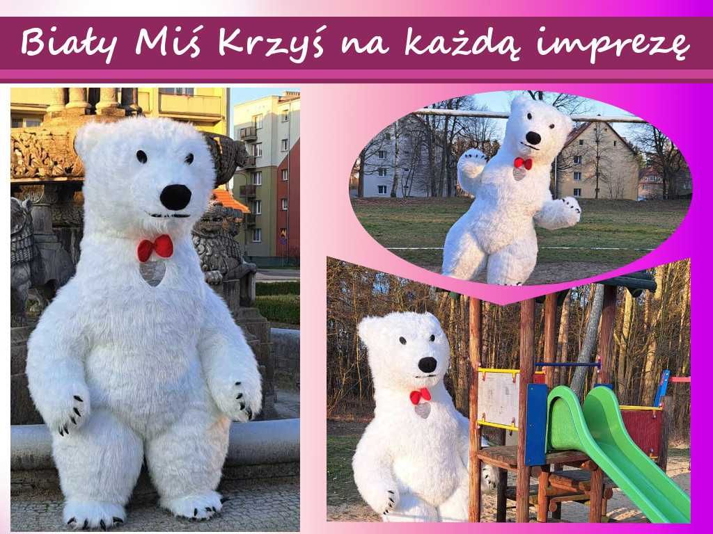 Wynajem Biały Miś i Panda/ Impreza / Kostium