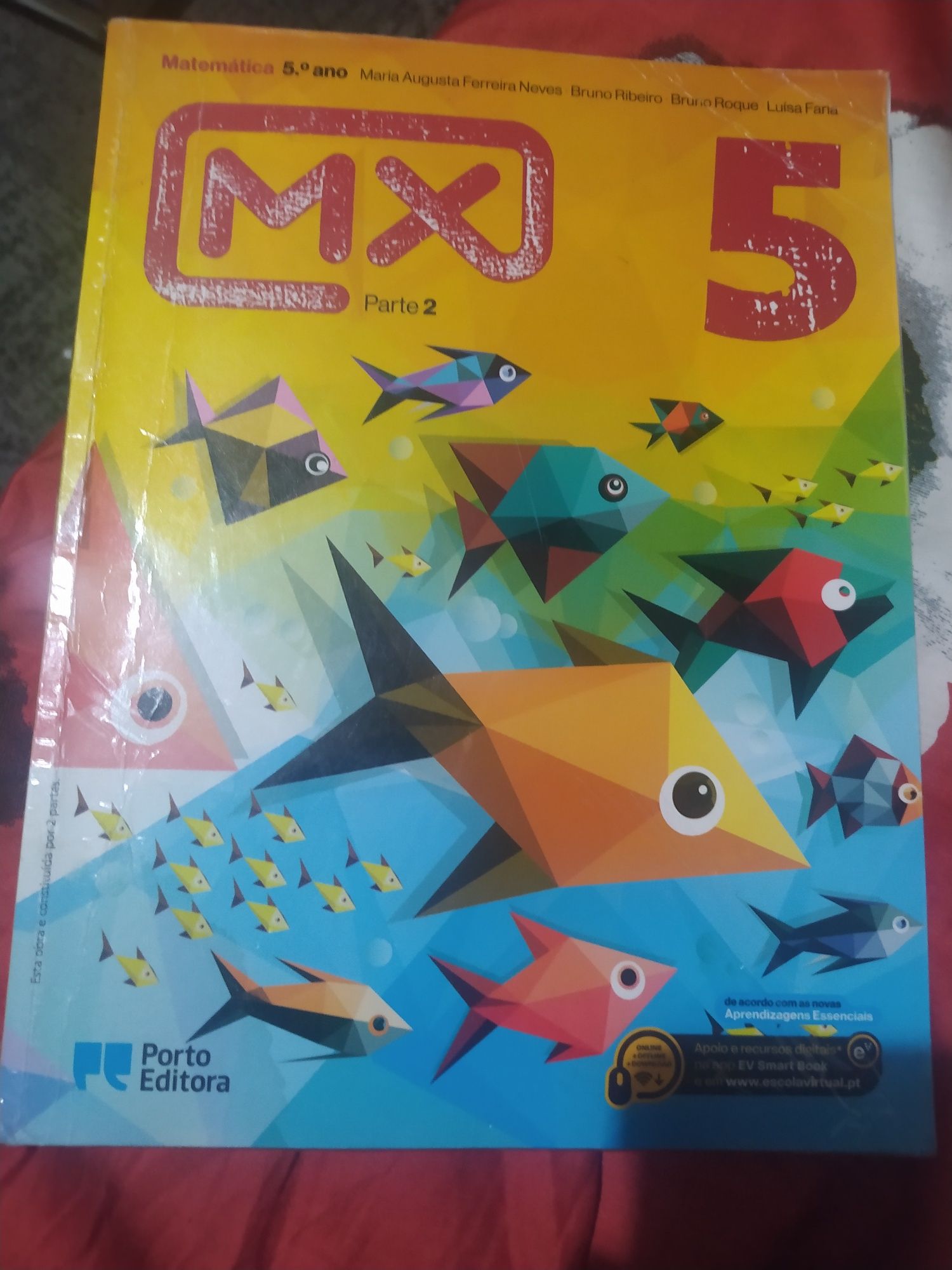MC matemática 5 ano manual parte 2