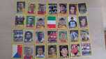 Lote Cromos Panini Euro 96