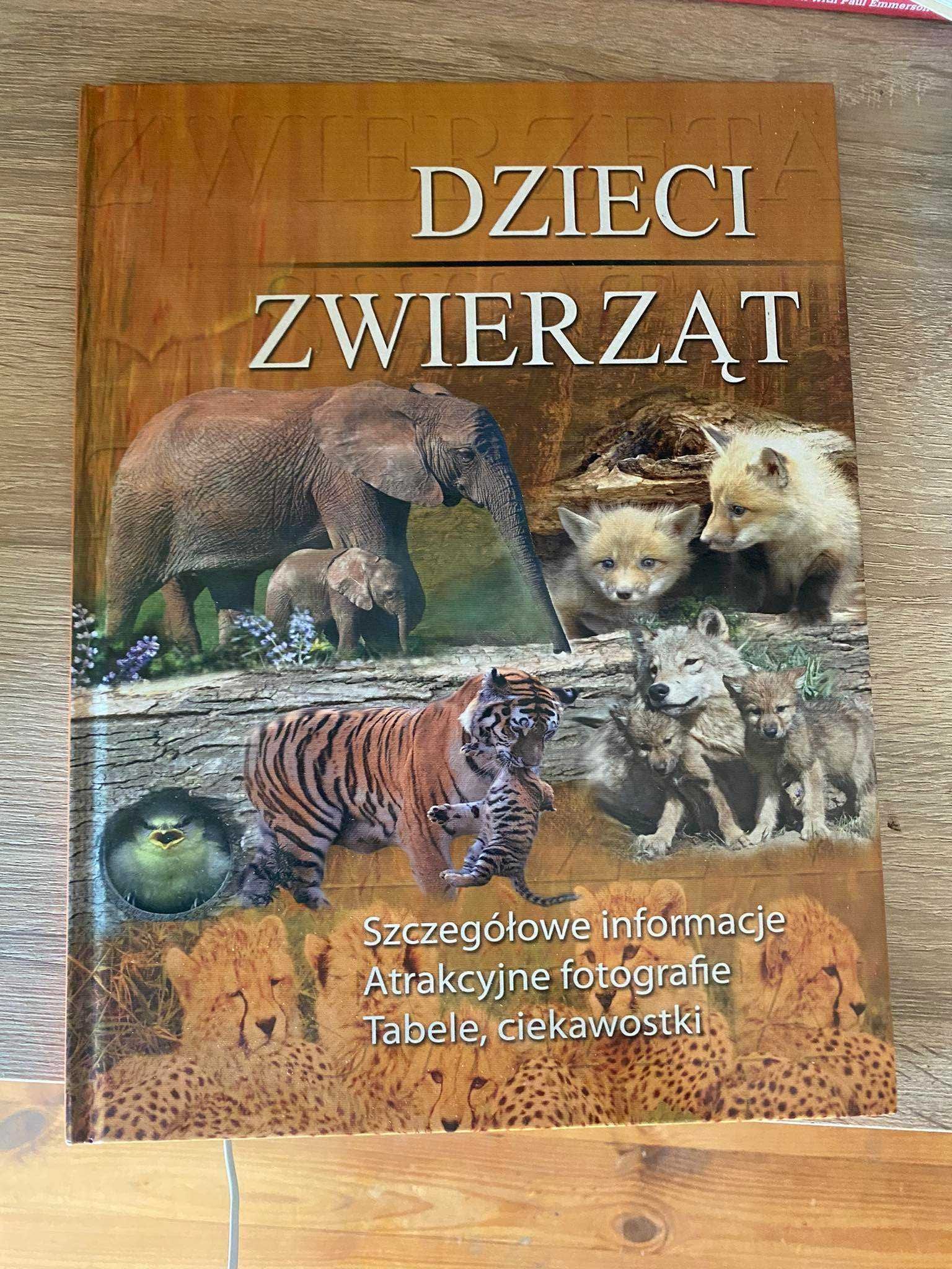 Dzieci zwierząt encyklopedia