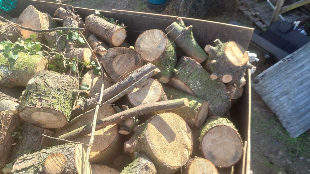 drewno opałowe iglaste, liściaste, sezonowane, suche