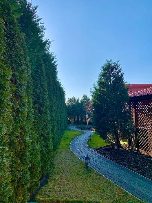 Продажа элитного дома в Совиньоне — участок 28 соток, море рядом.