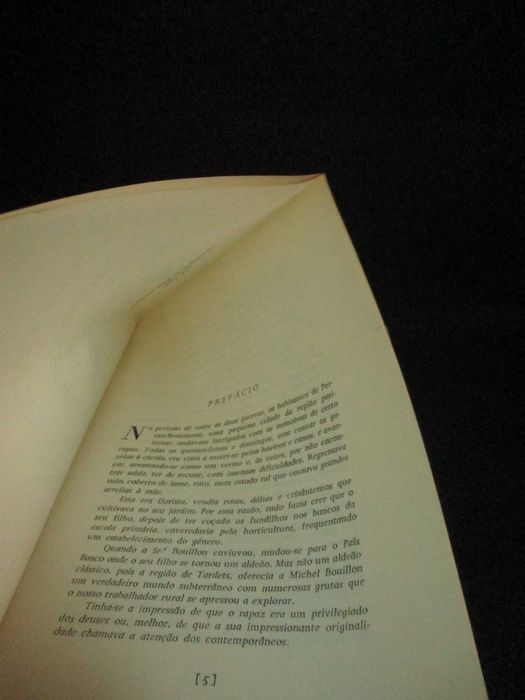 Livro Descoberta do Mundo Subterrâneo Michel Bouillon