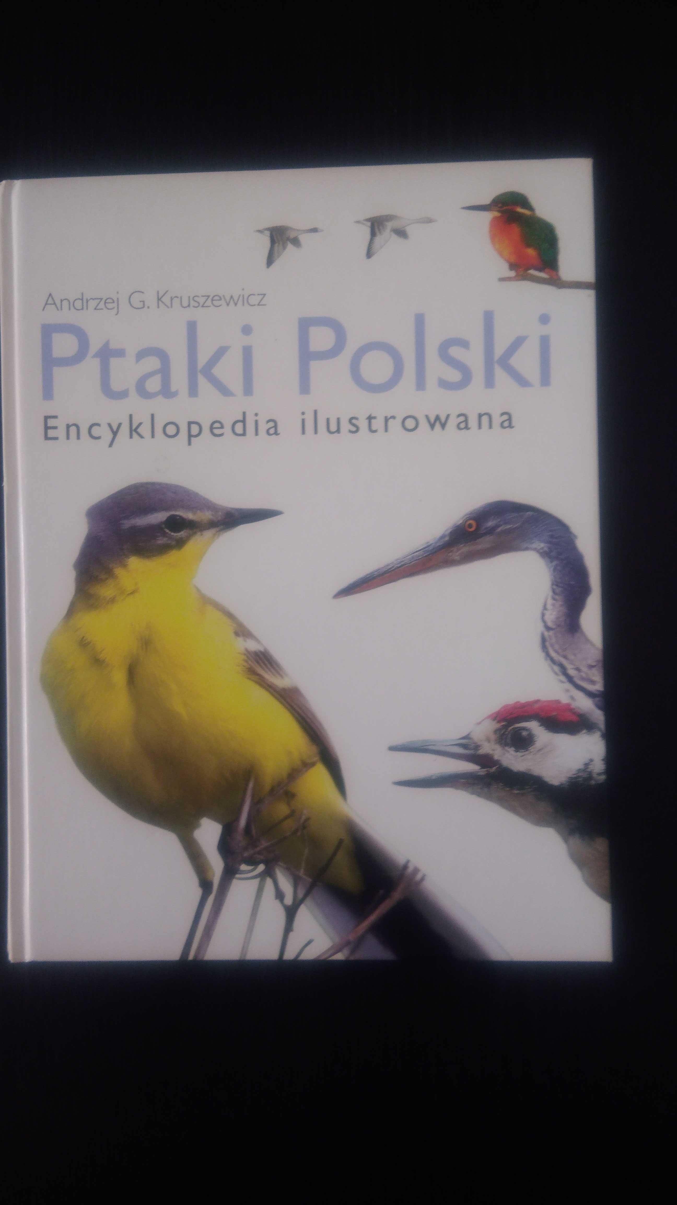 Ptaki Polski Encyklopedia ilustrowana.
