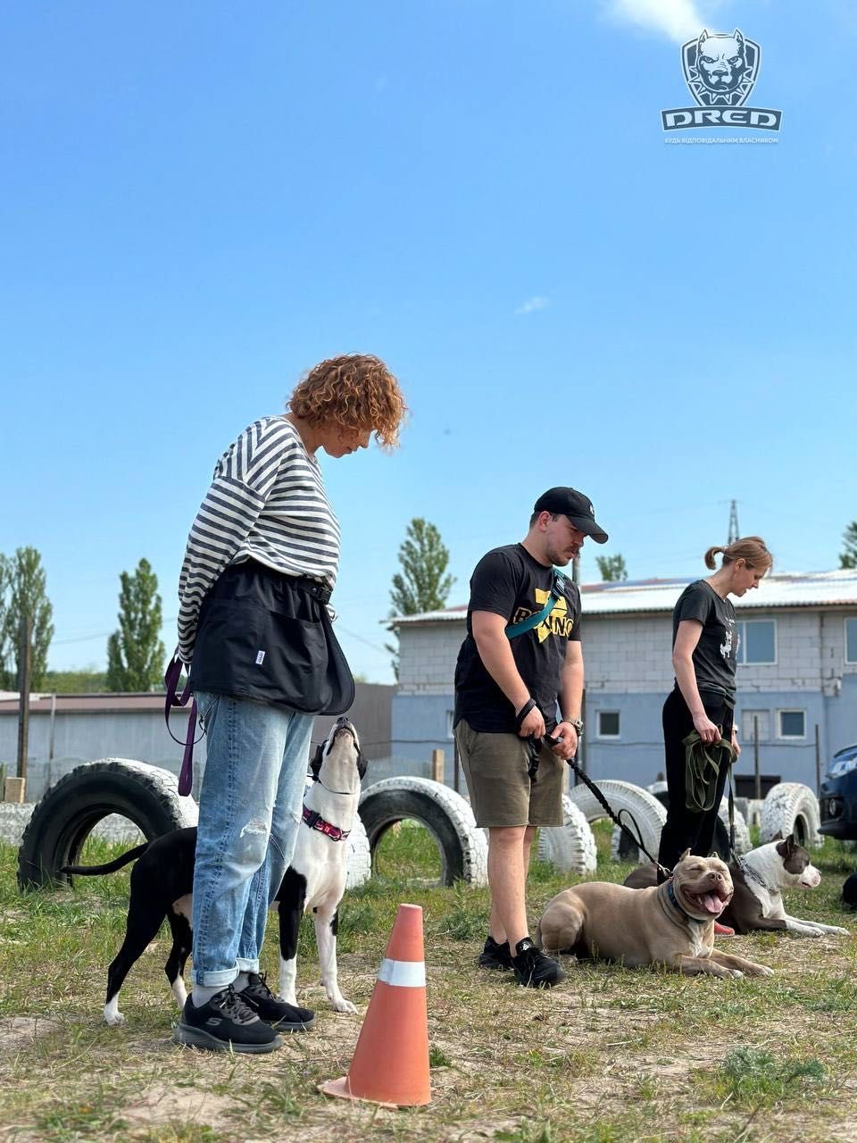 Безкоштовні заняття для собак з групи соціалізації