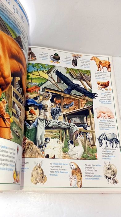 Expedição ao Mundo Animal