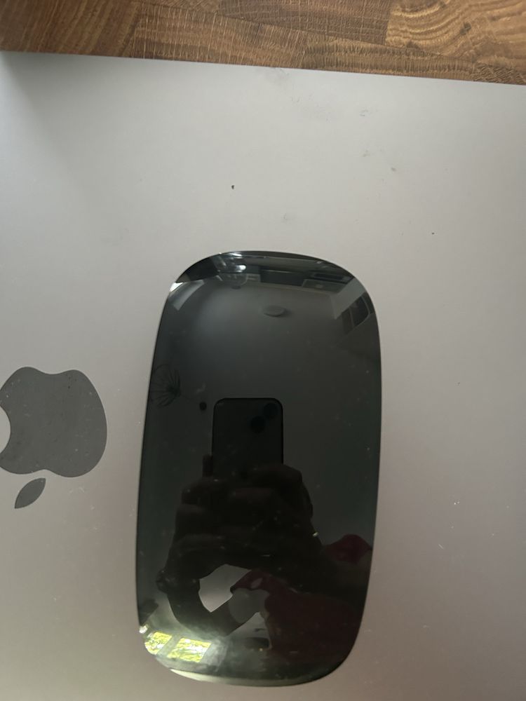 Apple macbook 13,3 + magic mouse