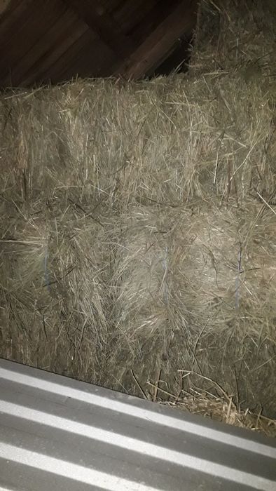 Продам сіно в тюках