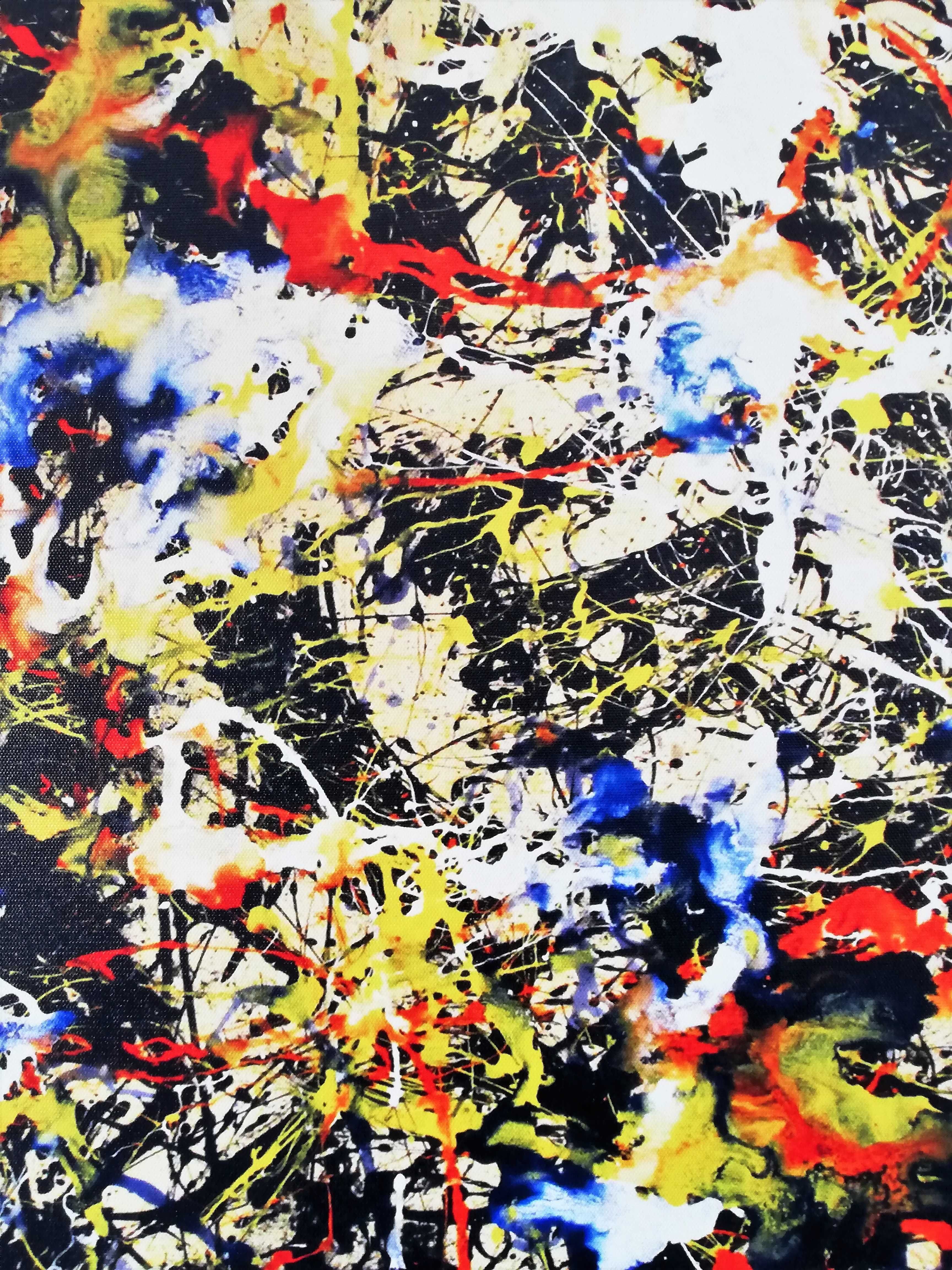 Jackson Pollock (71x101CM)