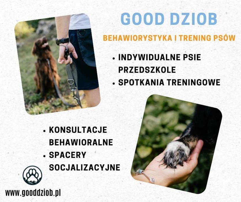 Behawiorysta konsultacje behawioralne psów / Trening z psem / Spacery