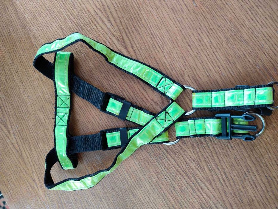 Шлея нашийник амуніціядля собаки