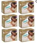 Pampersy dada 1 - 2 opakowania
