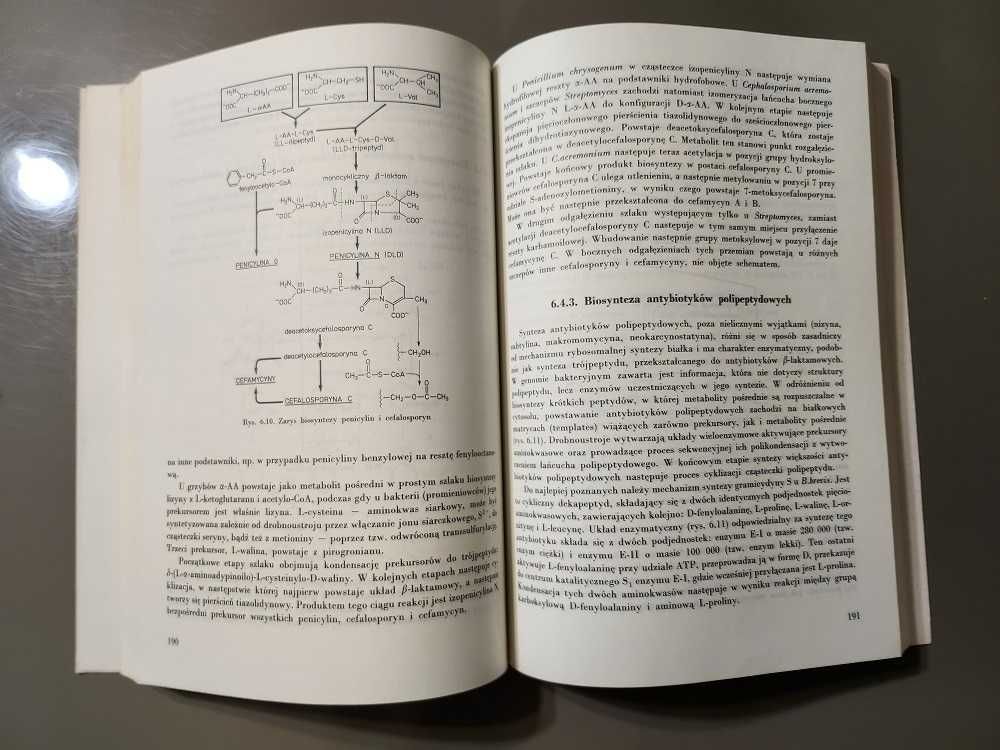 Biotechnologia podstawy mikrobiologiczne i biochemiczne A Chmiel