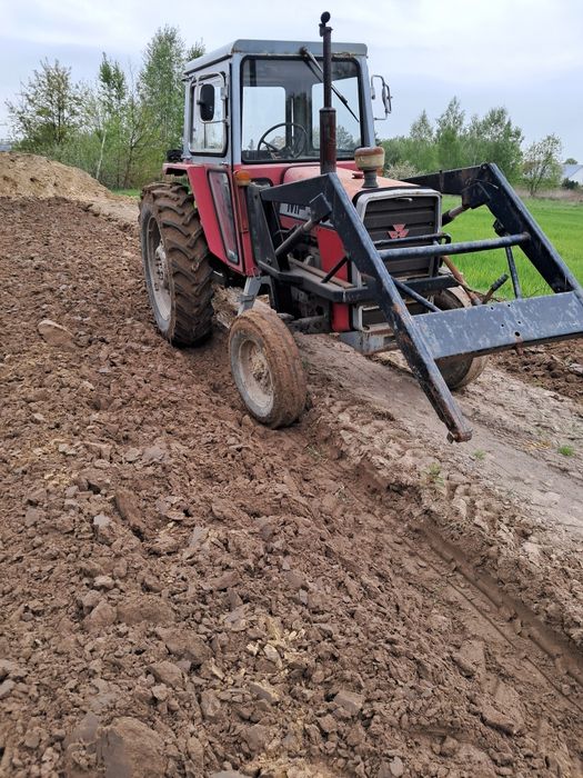 Massey Ferguson 590 z ładowaczem czołowym
